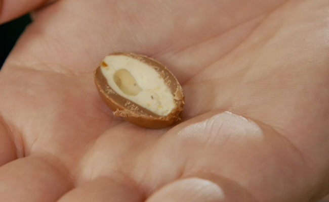 Ferrero